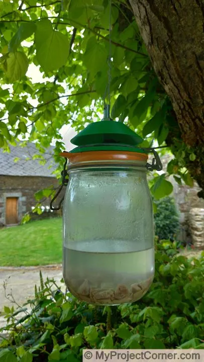 3d printed fly trap baited and ready for flies
