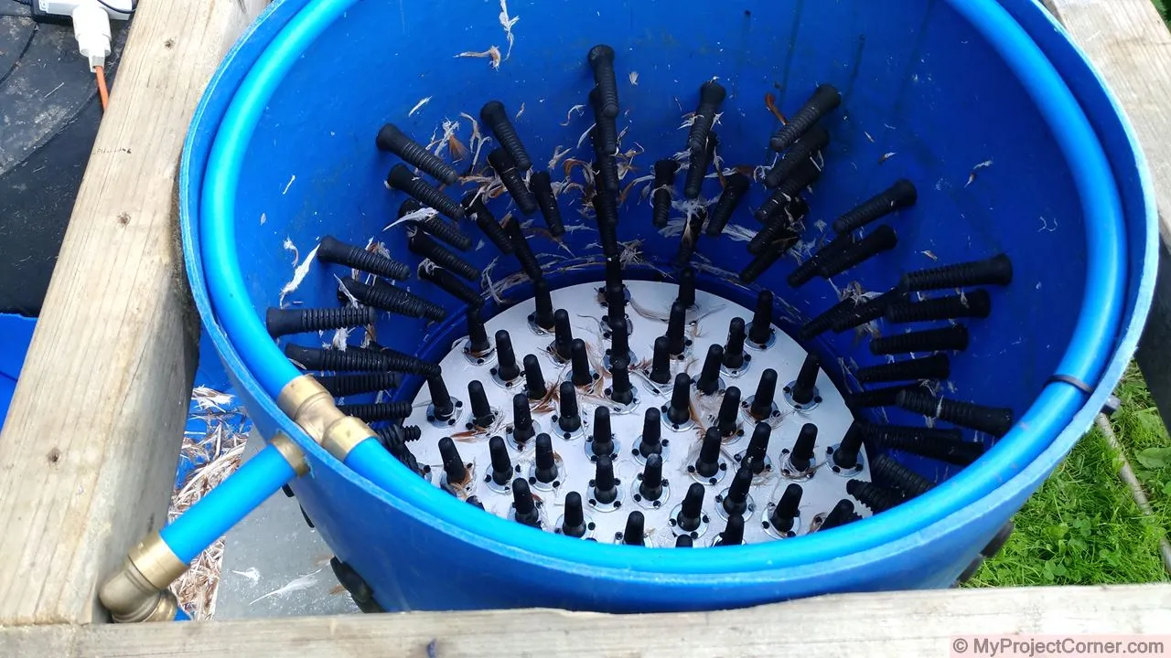 View inside chicken plucker