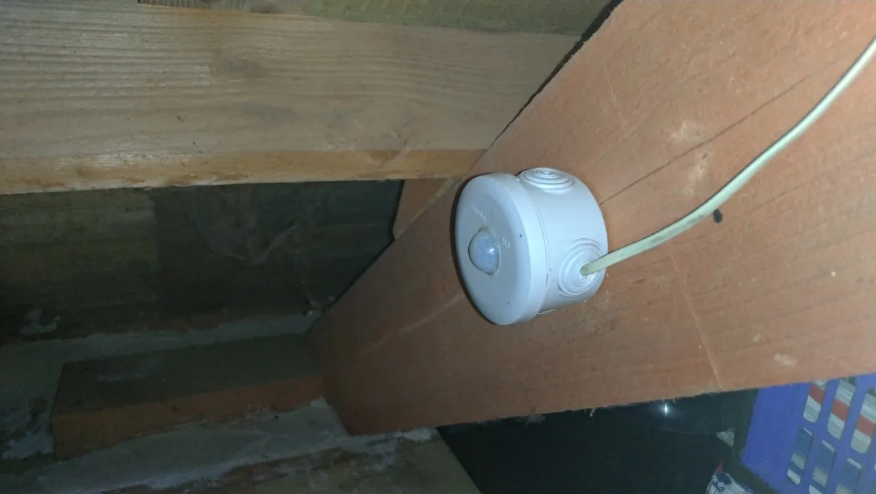 The finished mouse detector motion sensor box