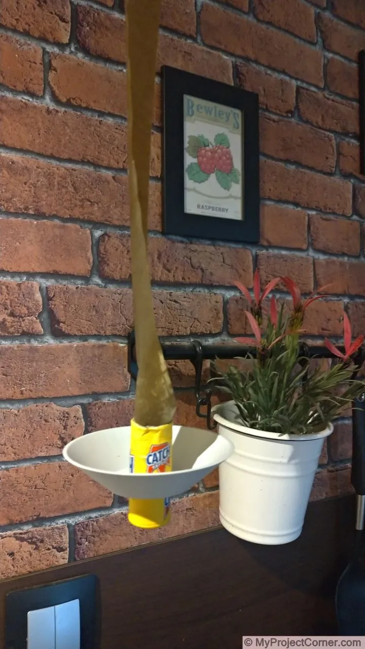The 3d printed sticky dead fly catcher hung up
